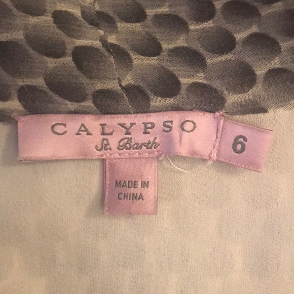 Calypso St. Barth Silk Dress - Picture 4 of 6